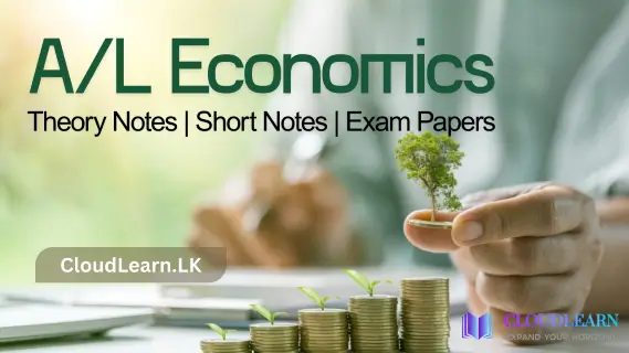 A-Level Economics Theory Notes | Short Notes | Exam Papers
