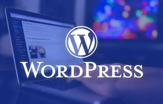 WordPress For Everyone
